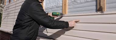 Best Siding Removal and Disposal  in Excelsior, MN